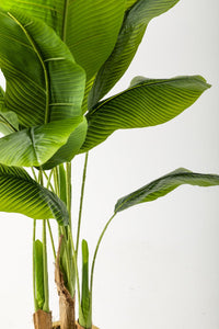 Yapay Muz Ağacı 160 Cm Kahverengi Gold Metal Saksı