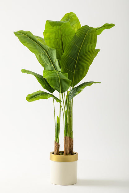 Yapay Muz Ağacı 160 Cm Krem Gold Metal Saksı