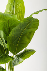 Yapay Muz Ağacı 160 Cm Krem Gold Metal Saksı