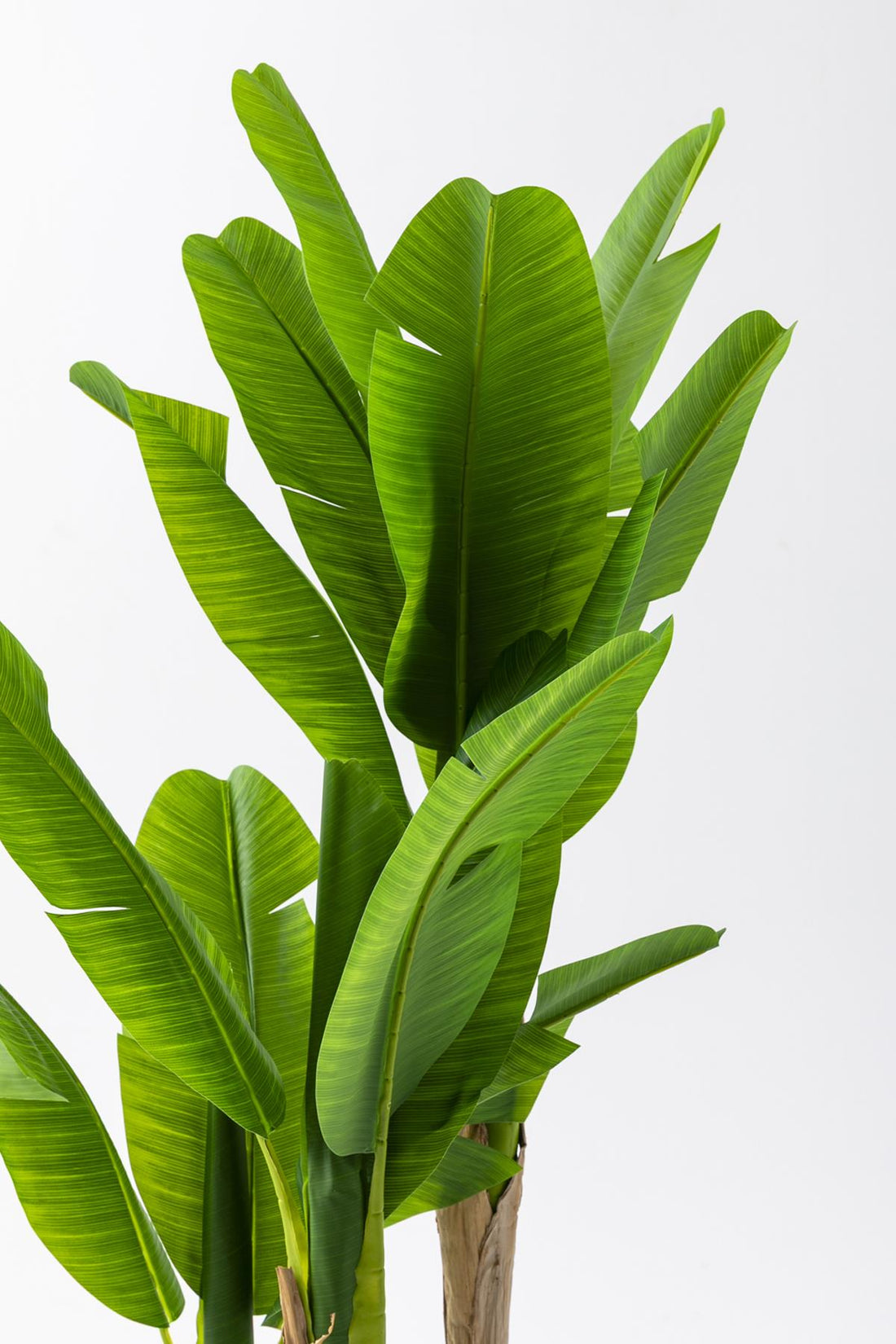 Yapay Muz Ağacı 160 Cm Küre Plastik Saksı