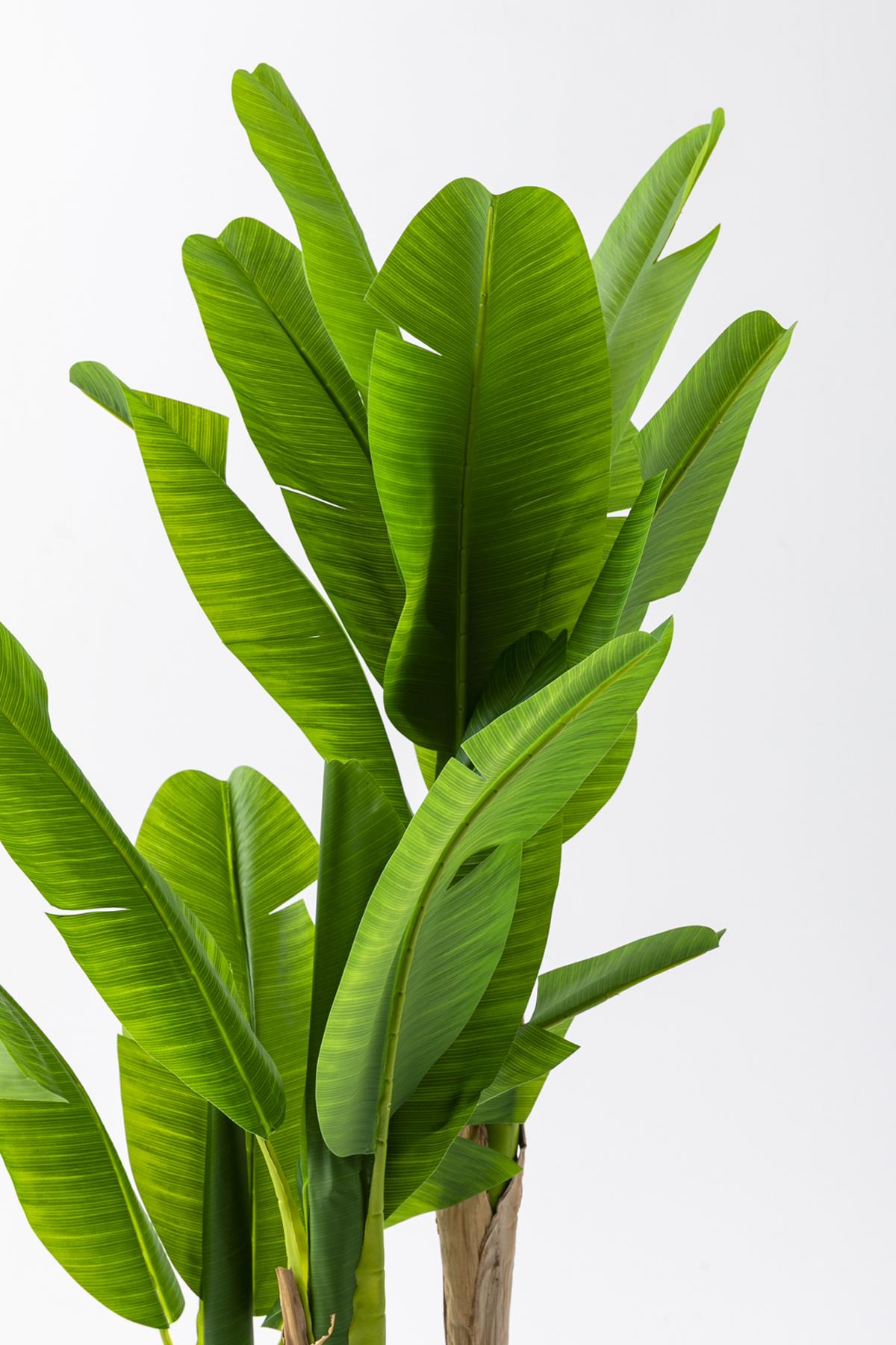 Yapay Muz Ağacı 160 Cm Küre Plastik Saksı