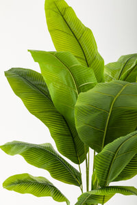 Yapay Muz Ağacı 160 Cm Siyah Metal Saksı