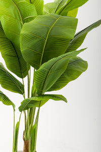 Yapay Muz Ağacı 160 Cm Siyah Metal Saksı