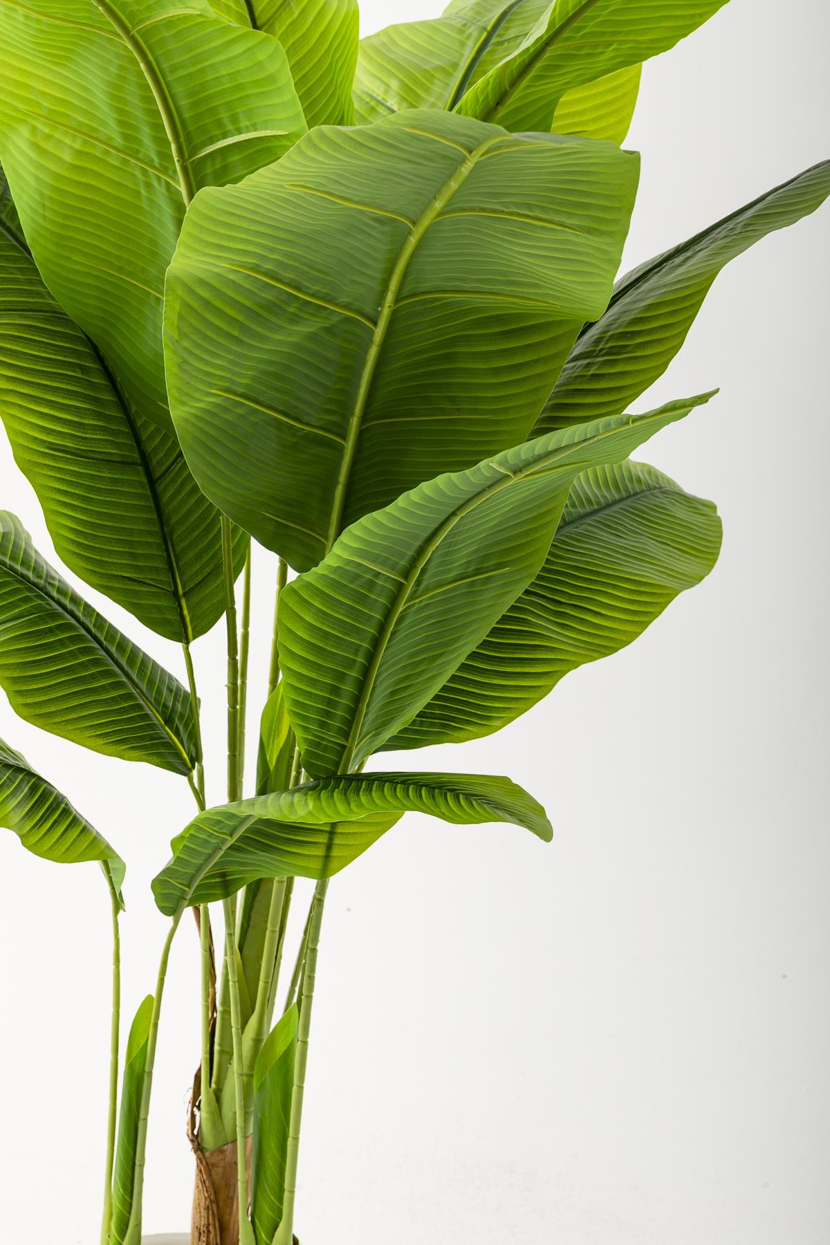 Yapay Muz Ağacı 160 Cm Siyah Metal Saksı