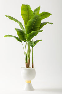 Yapay Muz Ağacı 180 Cm 13 Yaprak Beyaz Balon Saksı