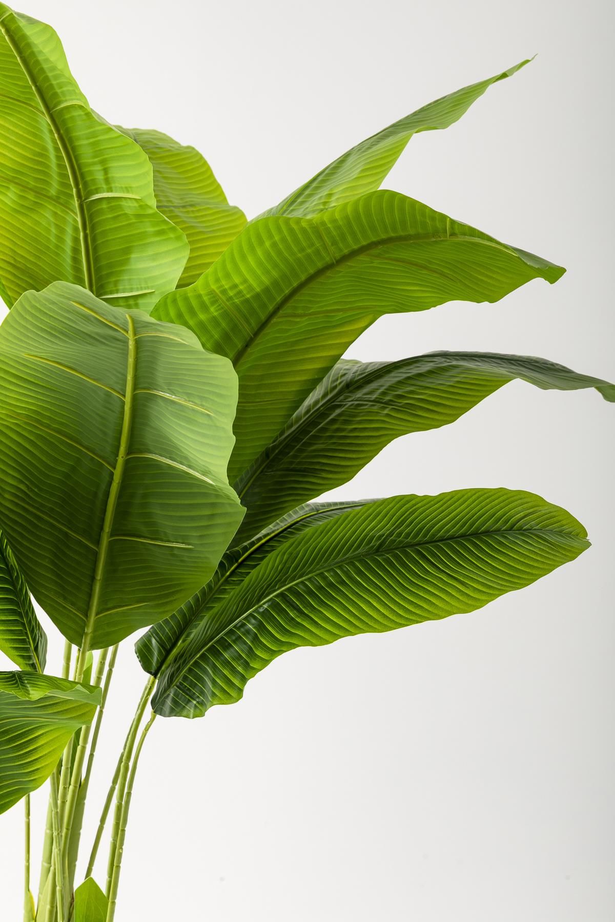 Yapay Muz Ağacı 180 Cm 13 Yaprak Siyah Balon Saksı