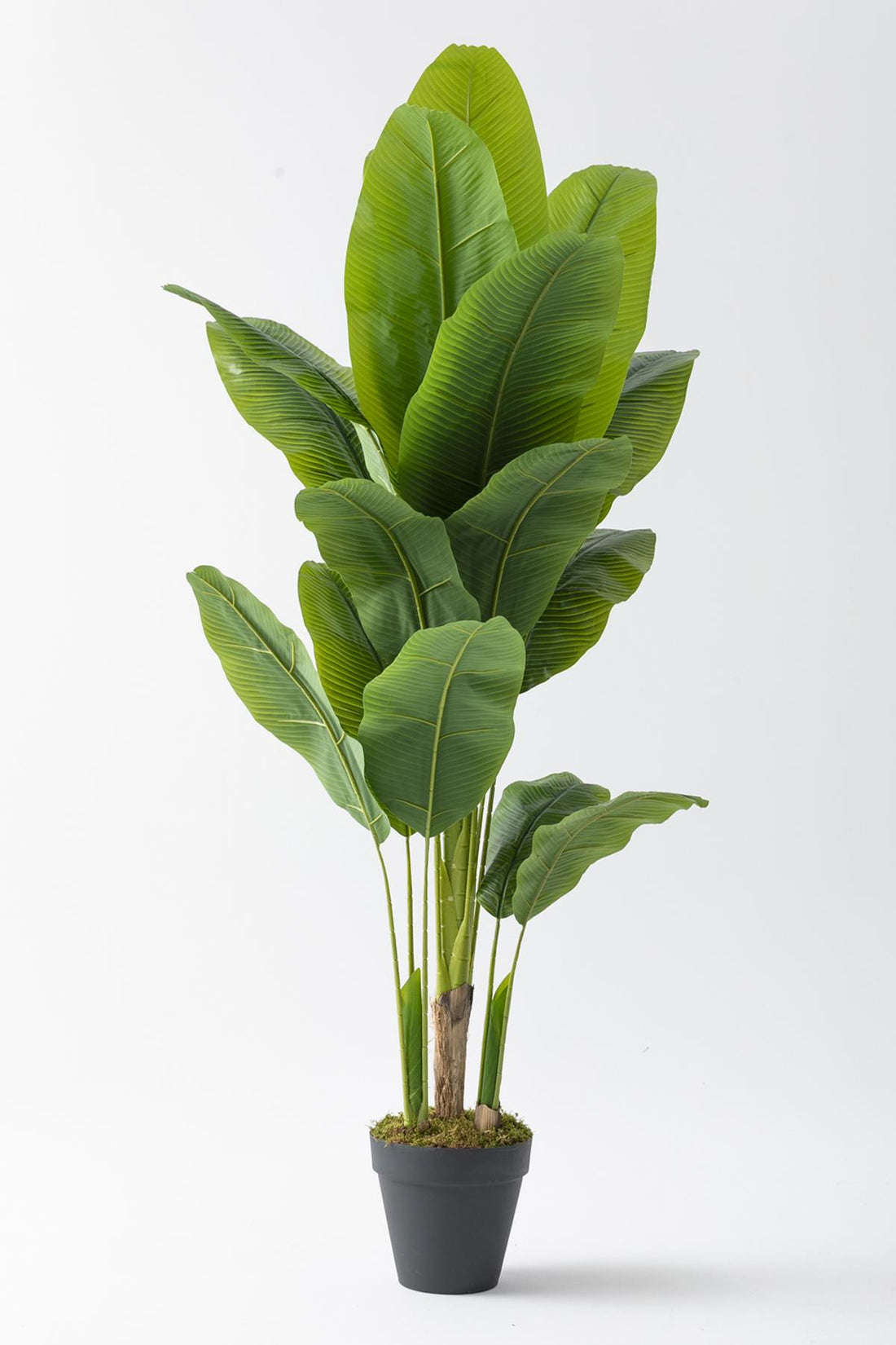 Yapay Muz Ağacı 180 Cm 17 Dal