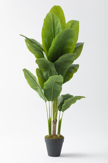 Yapay Muz Ağacı 180 Cm 17 Dal