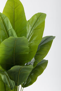 Yapay Muz Ağacı 180 Cm 17 Dal