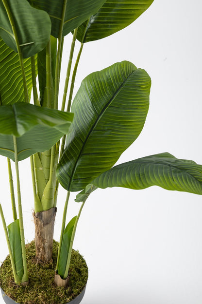 Yapay Muz Ağacı 180 Cm 17 Dal