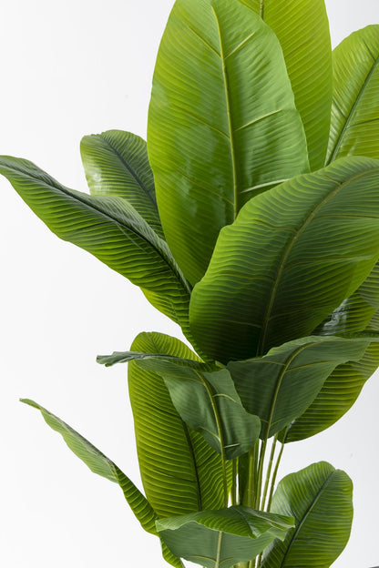 Yapay Muz Ağacı 180 Cm 17 Dal