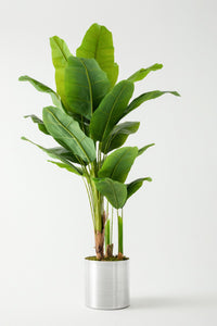 Yapay Muz Ağacı 180 Cm