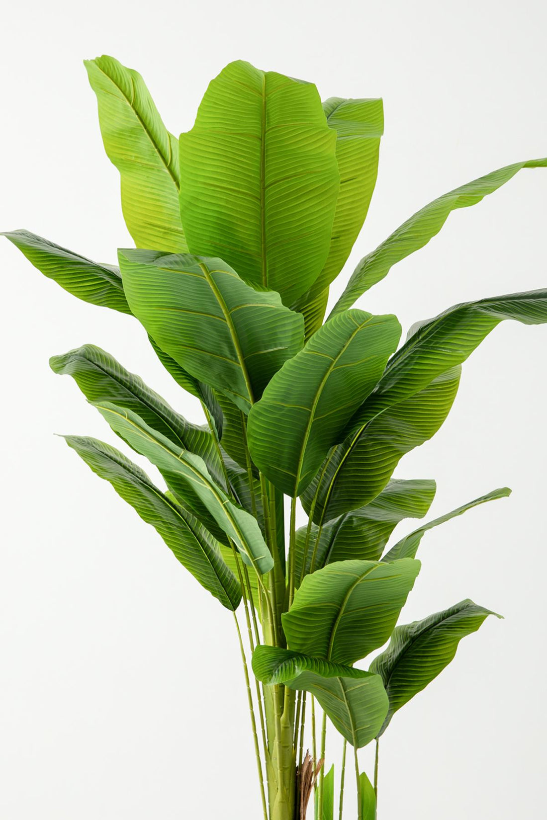 Yapay Muz Ağacı 180 Cm