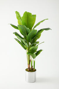 Yapay Muz Ağacı 180 Cm