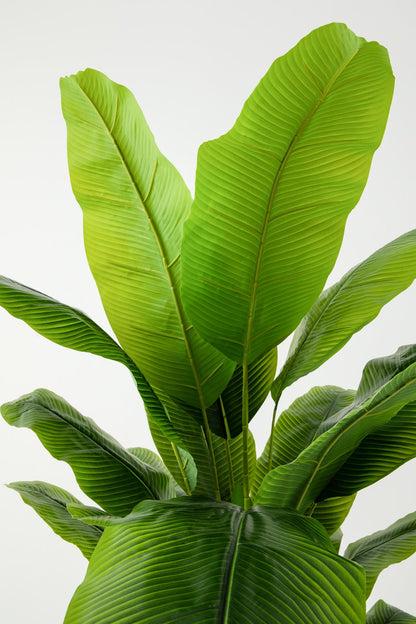 Yapay Muz Ağacı 180 Cm