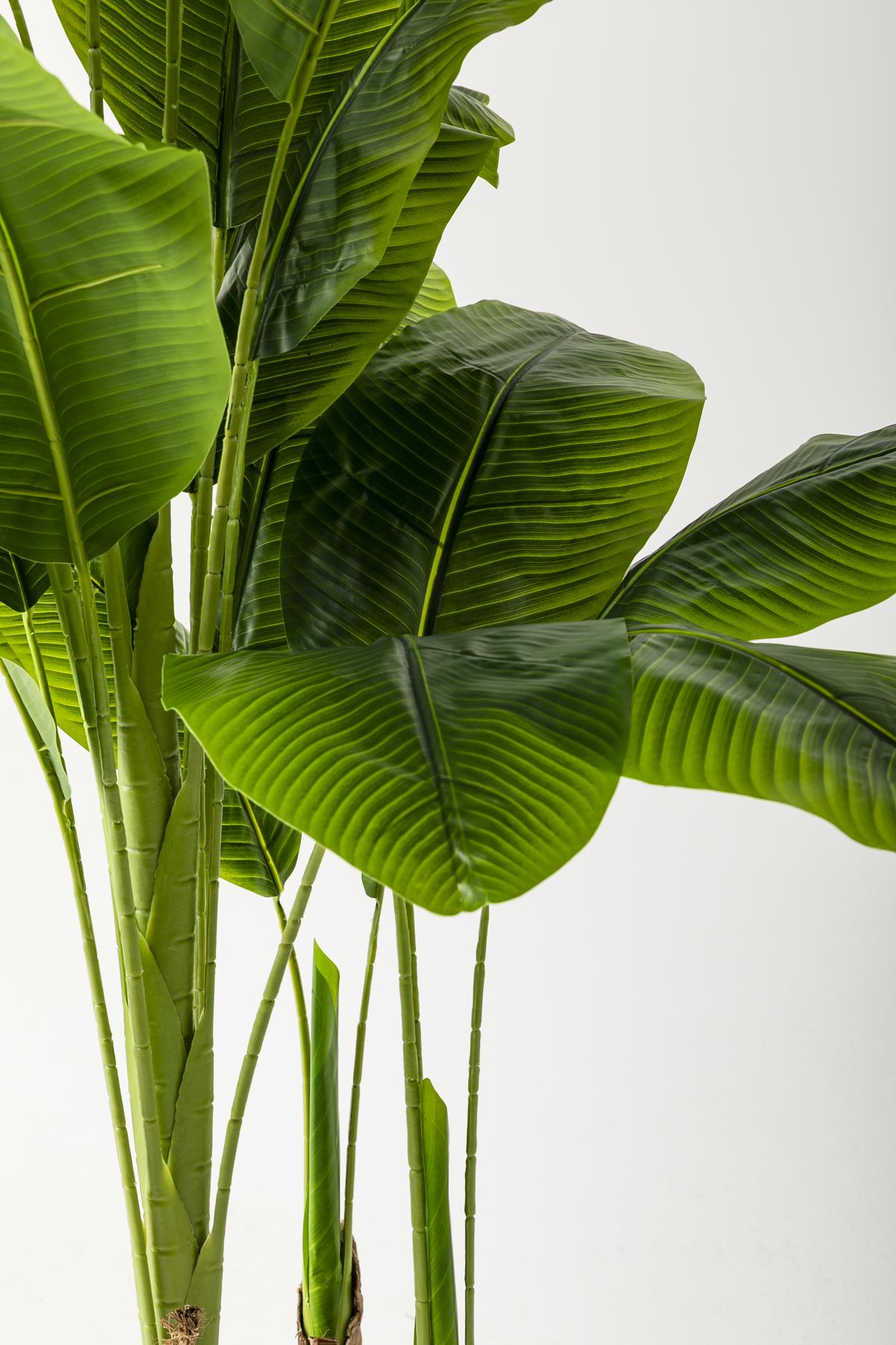 Yapay Muz Ağacı 180 Cm Beyaz Gold Metal Saksı