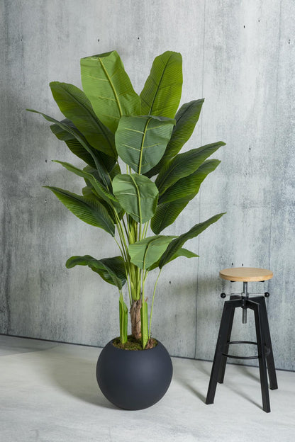 Yapay Muz Ağacı 180 Cm Fiber Saksılı