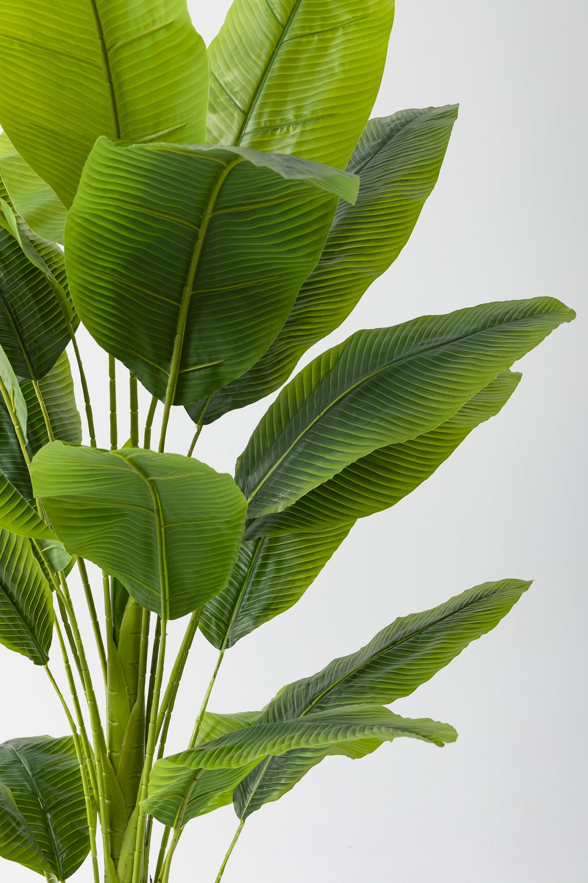 Yapay Muz Ağacı 180 Cm Fiber Saksılı