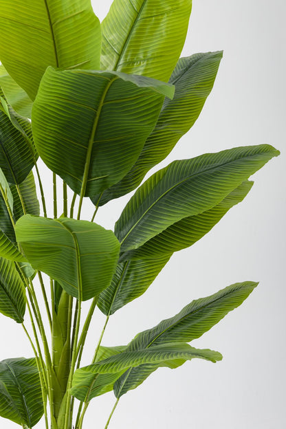 Yapay Muz Ağacı 180 Cm Fiber Saksılı