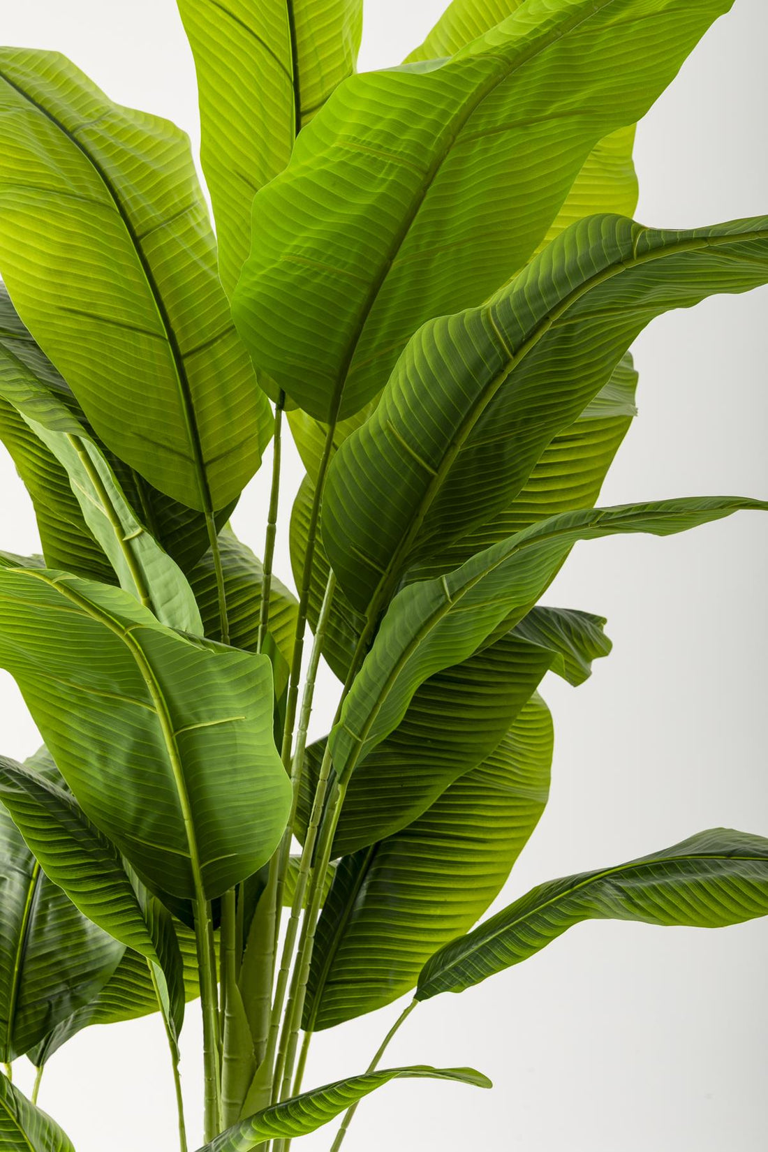 Yapay Muz Ağacı 180 Cm Gold Metal Saksı