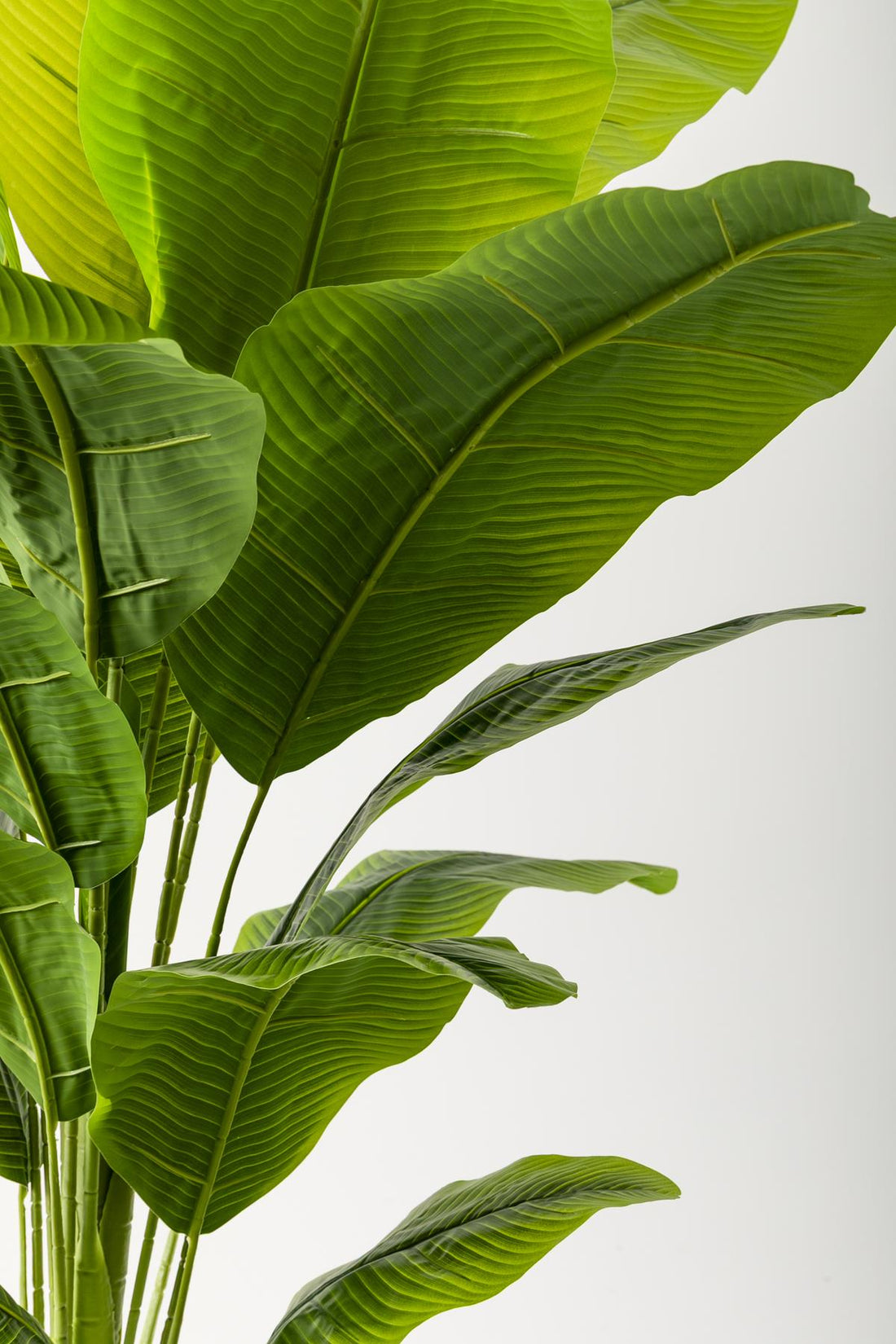 Yapay Muz Ağacı 180 Cm Kahverengi Gold Metal Saksı