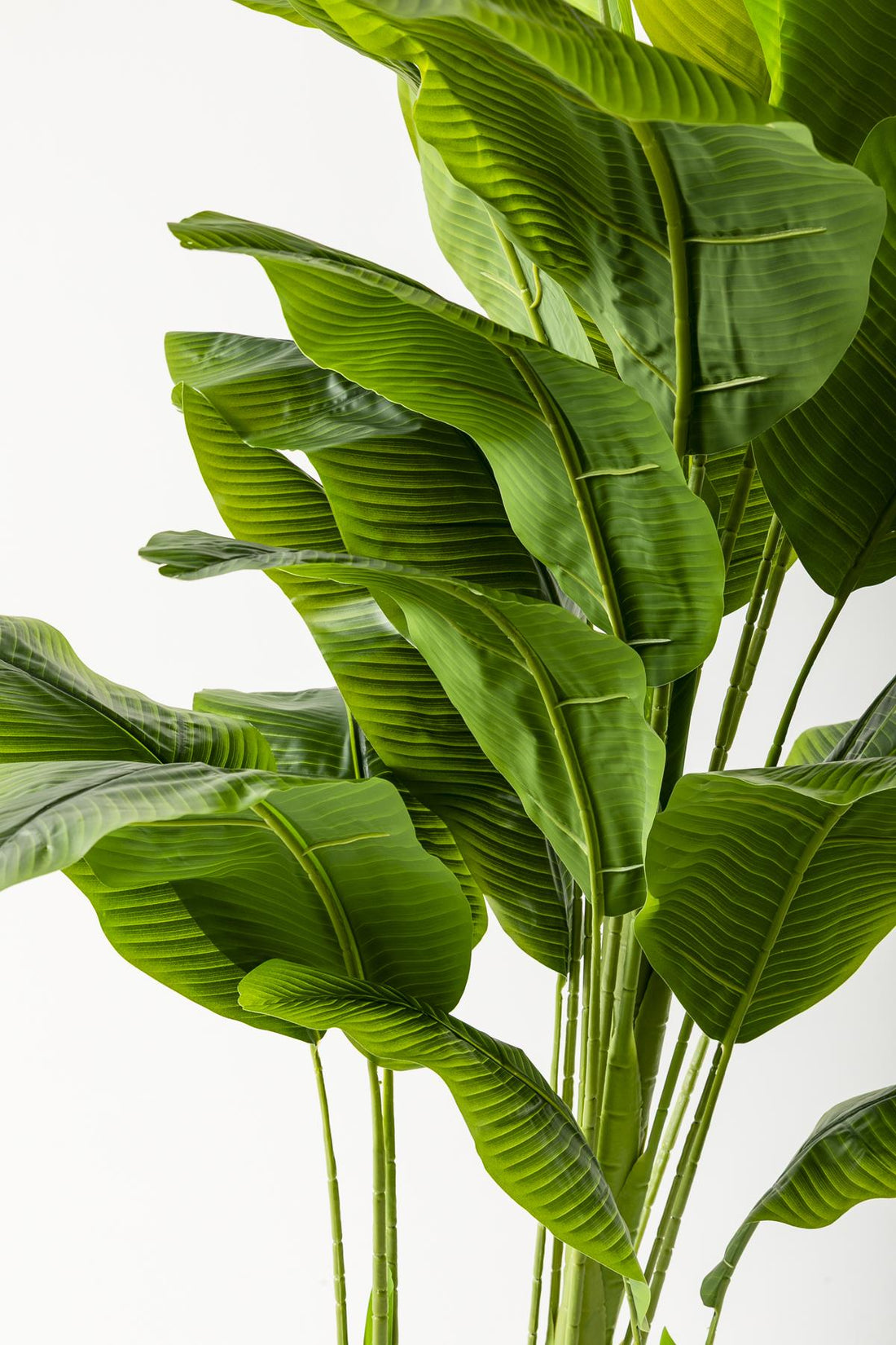 Yapay Muz Ağacı 180 Cm Kahverengi Gold Metal Saksı