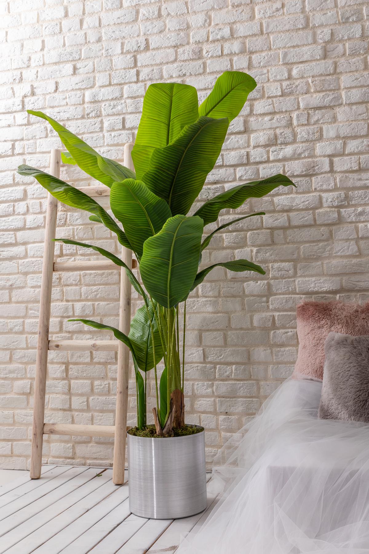 Yapay Muz Ağacı 180 Cm (Saksısız)