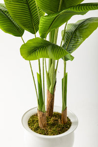 Yapay Muz Ağacı 200 Cm 17 Yaprak Balon Saksı