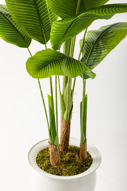 Yapay Muz Ağacı 200 Cm 17 Yaprak Balon Saksı