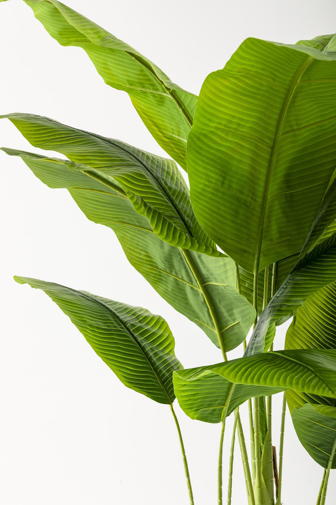 Yapay Muz Ağacı 200 Cm 17 Yaprak Balon Saksı