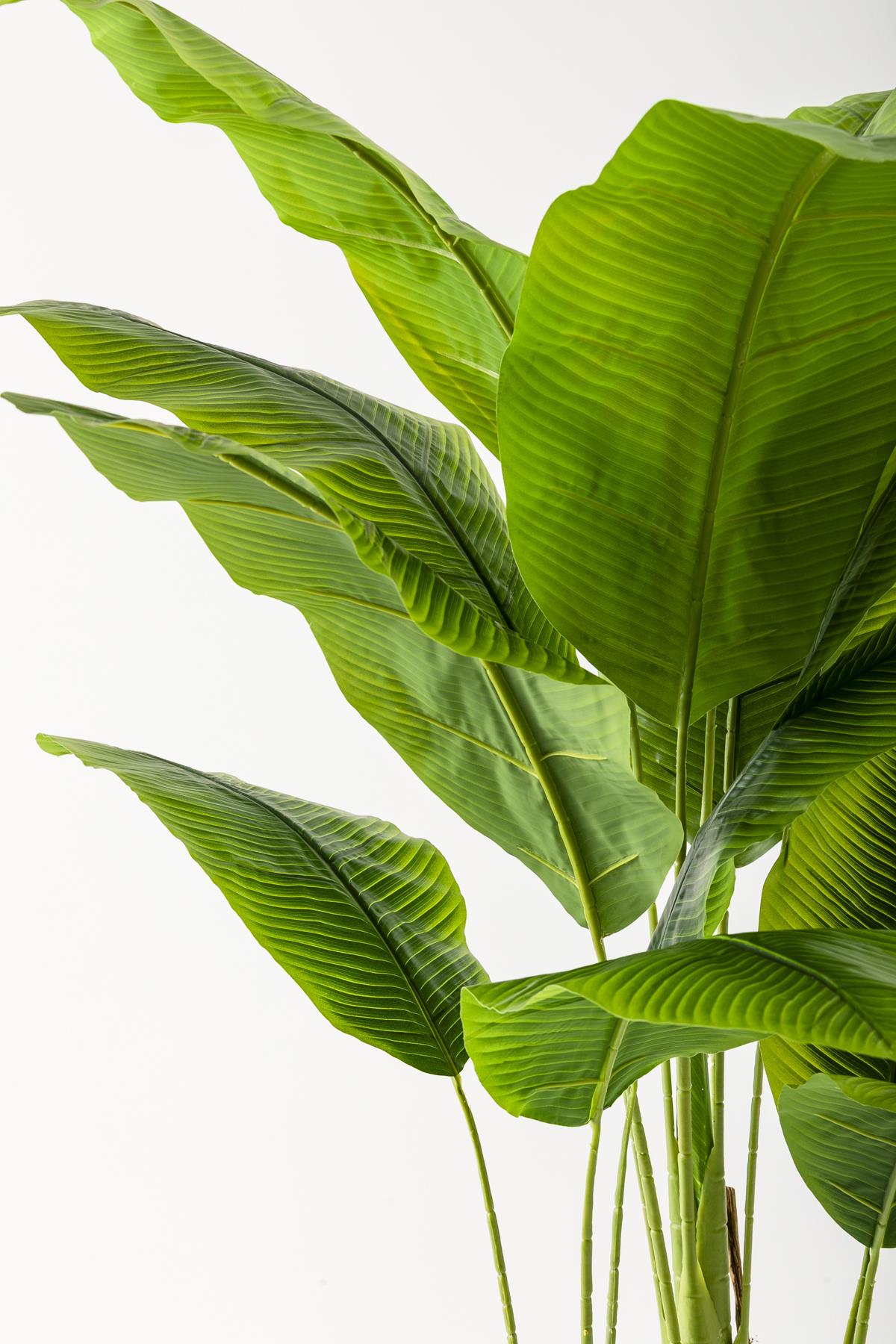 Yapay Muz Ağacı 200 Cm 17 Yaprak Balon Saksı