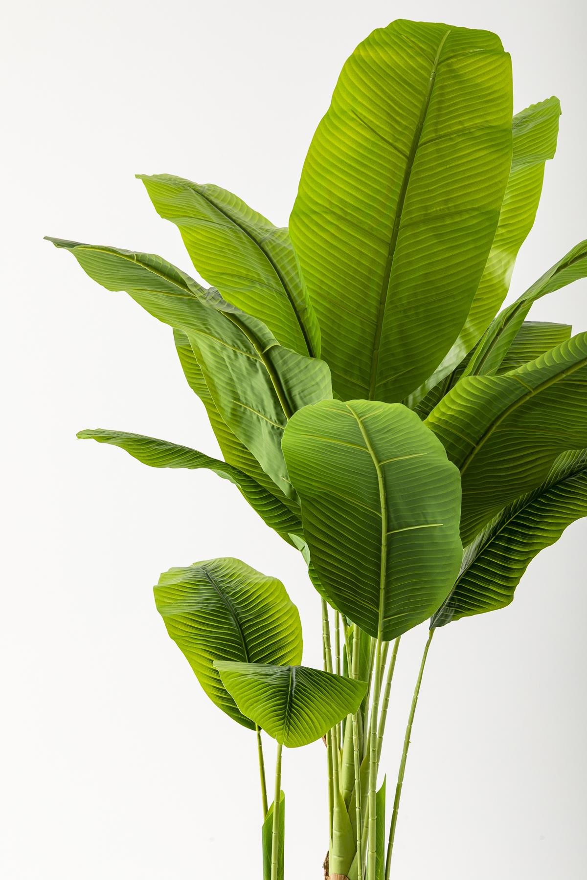 Yapay Muz Ağacı 200 Cm 17 Yaprak Balon Saksı