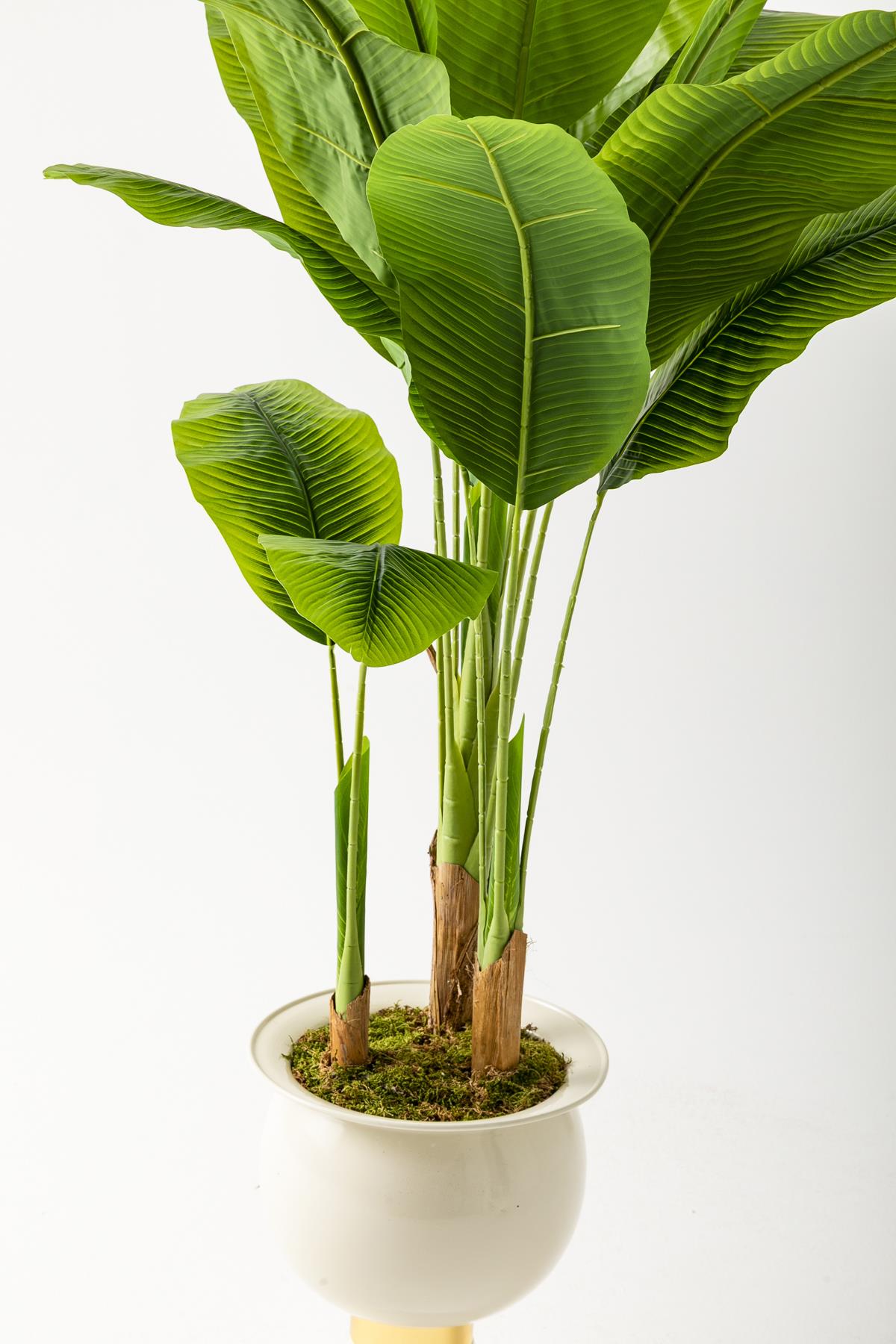 Yapay Muz Ağacı 200 Cm 17 Yaprak Balon Saksı