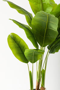 Yapay Muz Ağacı 200 Cm 17 Yaprak Balon Saksı