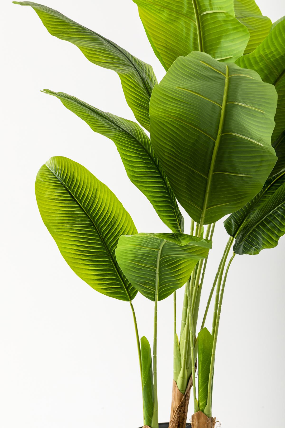 Yapay Muz Ağacı 200 Cm 17 Yaprak Balon Saksı