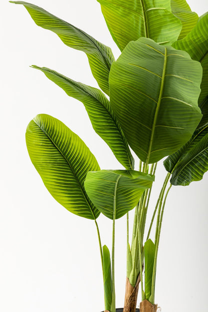 Yapay Muz Ağacı 200 Cm 17 Yaprak Balon Saksı