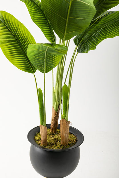 Yapay Muz Ağacı 200 Cm 17 Yaprak Balon Saksı