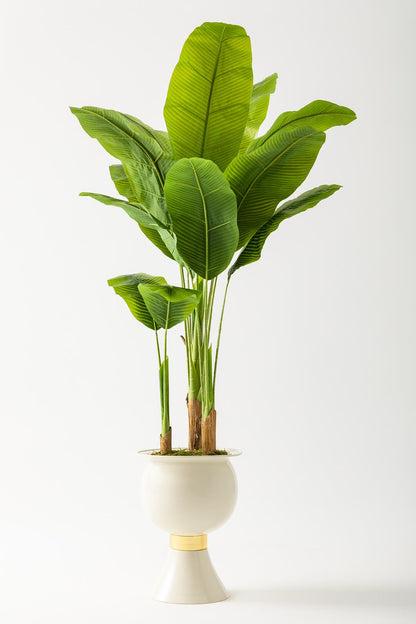 Yapay Muz Ağacı 200 Cm 17 Yaprak Krem Balon Saksı