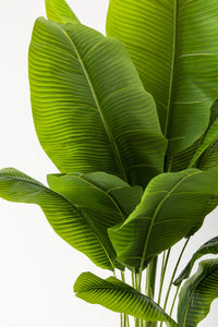 Yapay Muz Ağacı 200 Cm Beyaz Gold Metal Saksı