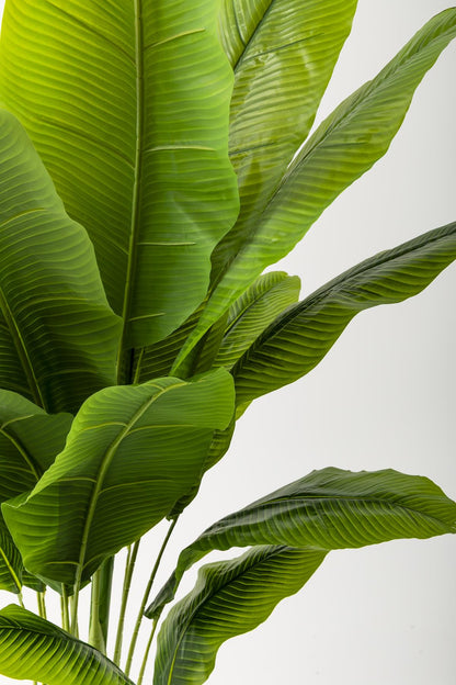 Yapay Muz Ağacı 200 Cm Beyaz Gold Metal Saksı