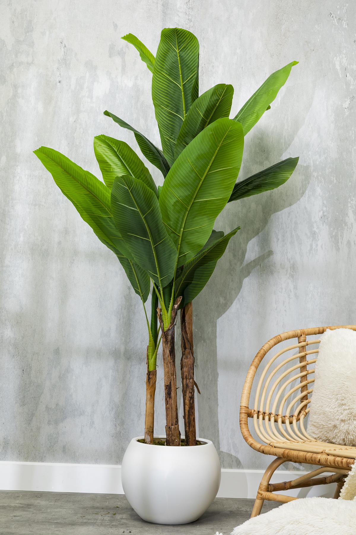 Yapay Muz Ağacı 200 Cm Plastik Küre Saksı