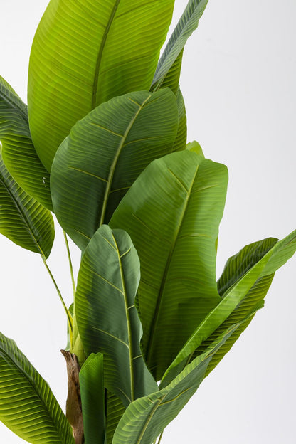 Yapay Muz Ağacı 200 Cm Plastik Küre Saksı