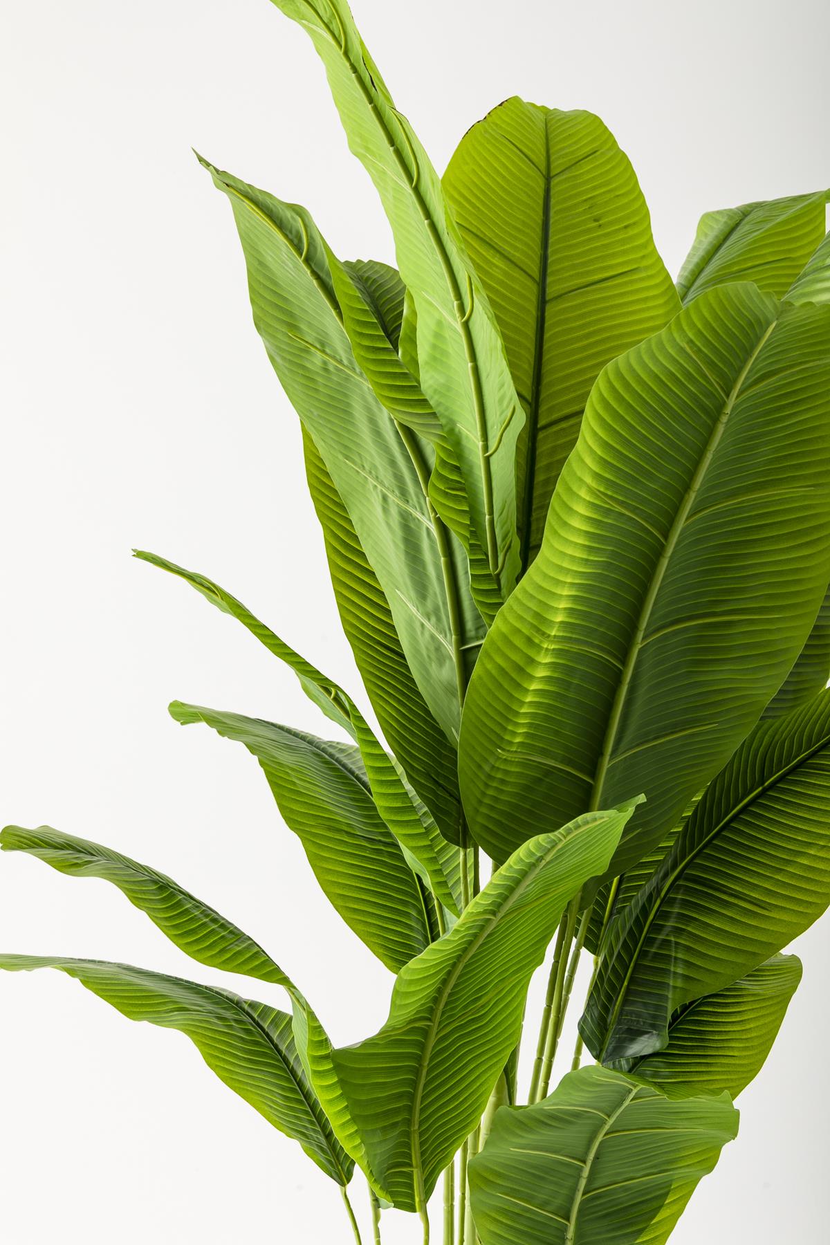 Yapay Muz Ağacı 200 Cm Siyah Metal Saksı