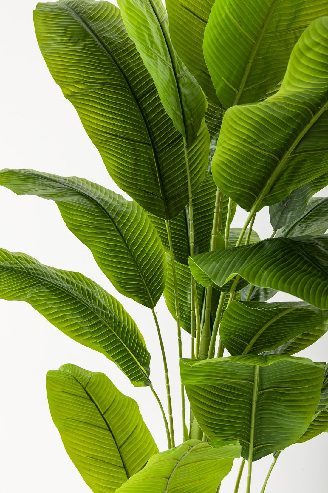 Yapay Muz Ağacı 220 Cm 20 Yaprak Balon Saksı