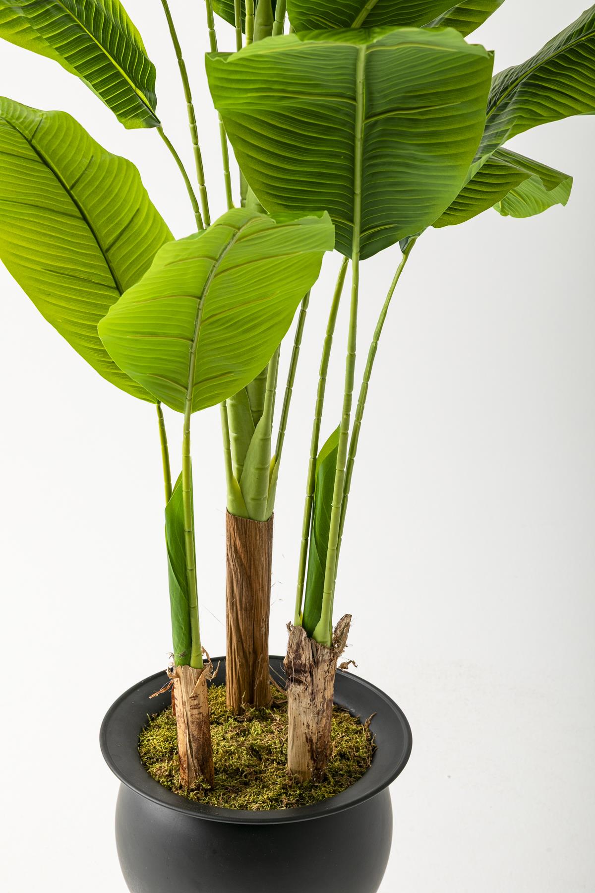 Yapay Muz Ağacı 220 Cm 20 Yaprak Balon Saksı