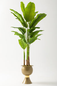 Yapay Muz Ağacı 220 Cm 20 Yaprak Balon Saksı