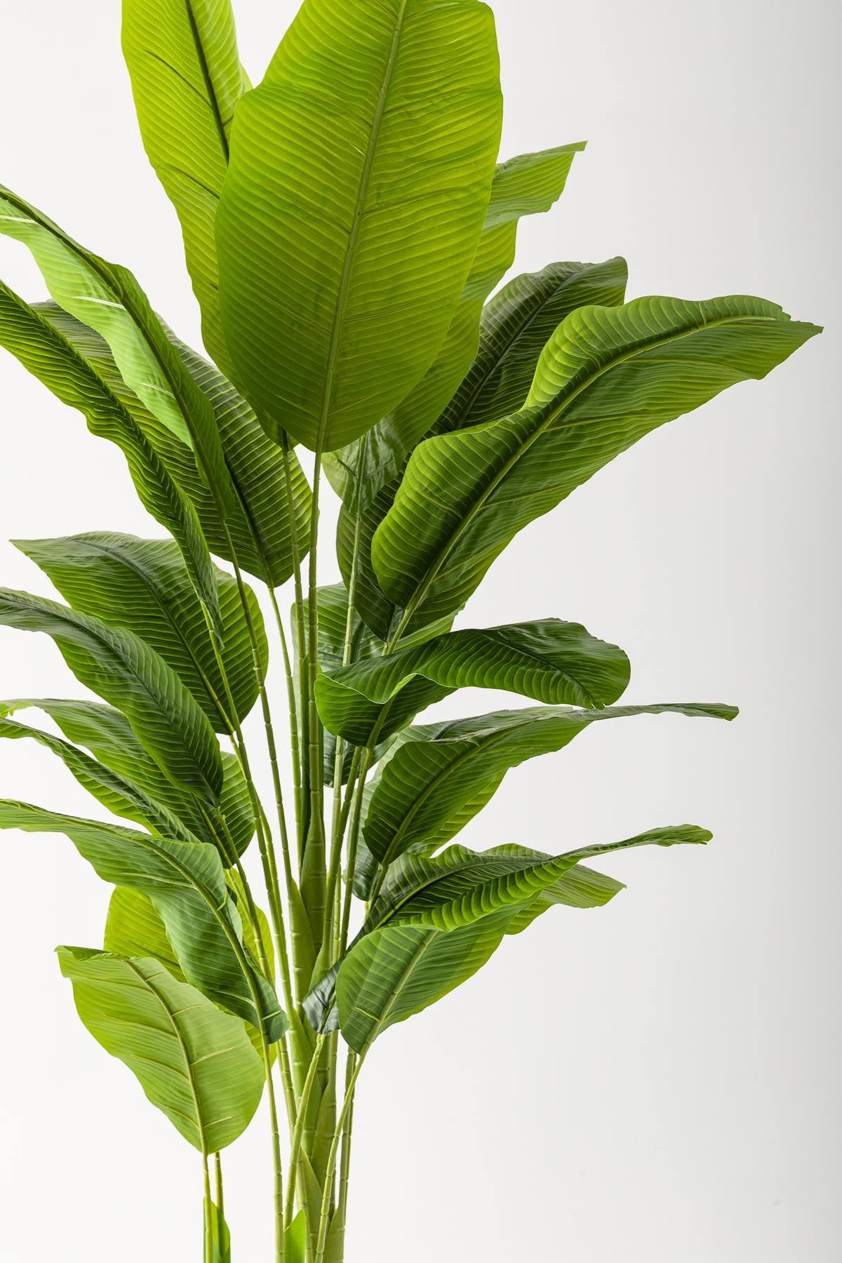 Yapay Muz Ağacı 220 Cm 20 Yaprak Balon Saksı