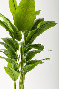 Yapay Muz Ağacı 220 Cm 20 Yaprak Balon Saksı