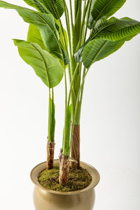 Yapay Muz Ağacı 220 Cm 20 Yaprak Balon Saksı