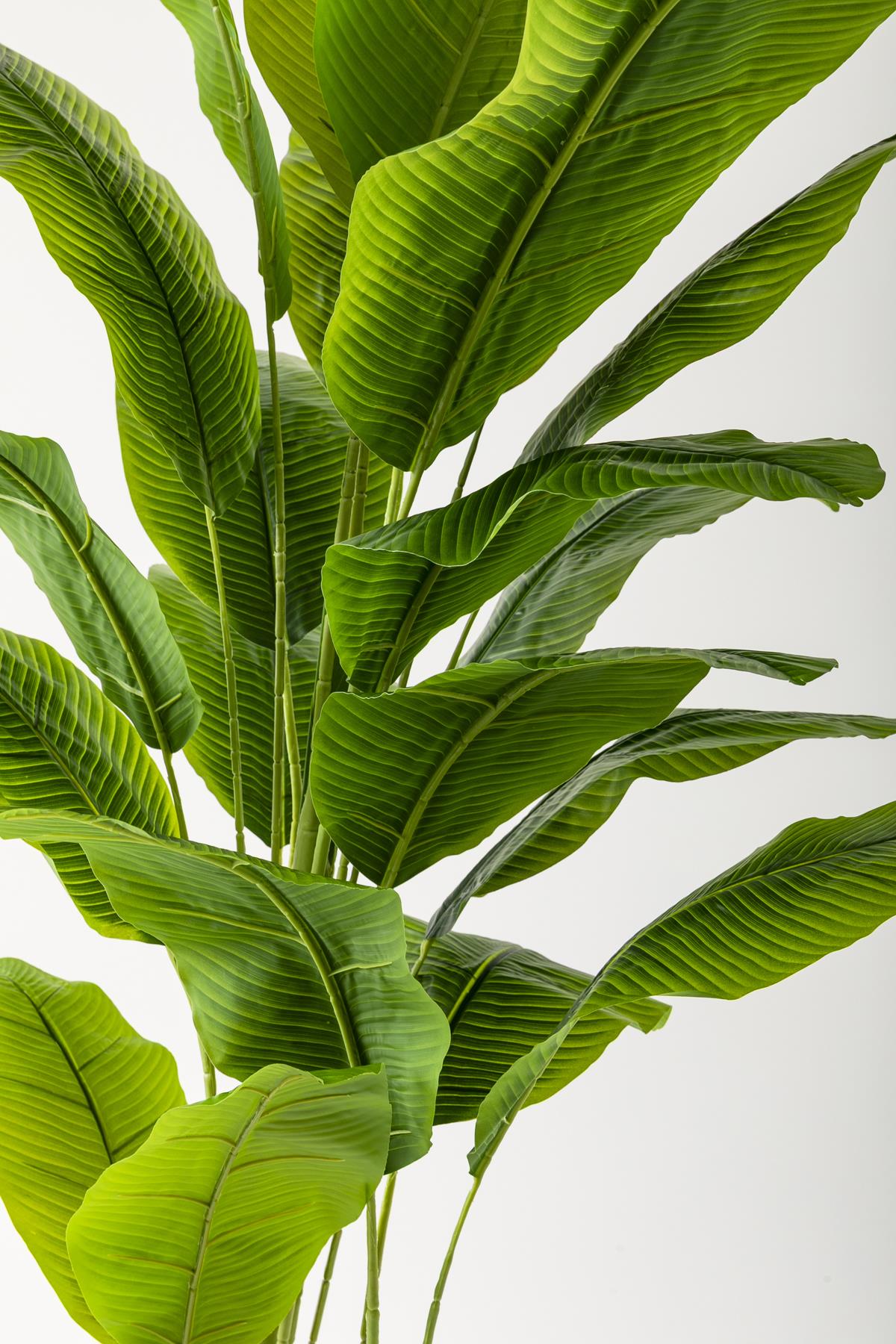 Yapay Muz Ağacı 220 Cm 20 Yaprak Balon Saksı